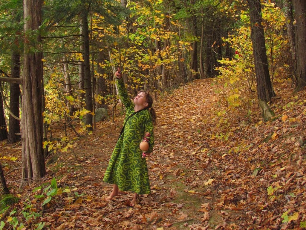 fall leaves in Lake Champlain