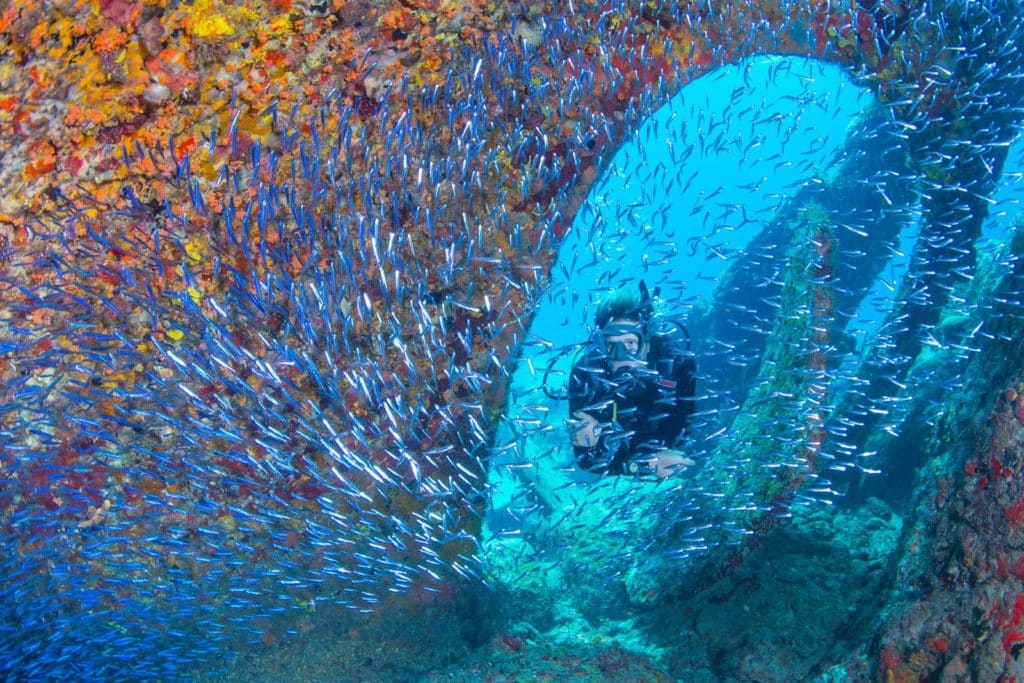 Scuba diving the RMS Rhone