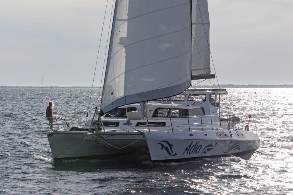 royal cape catamarans majestic 530