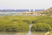 Scenic overlooks on the French side of St. Martin helped landlubbers catch the Heineken regatta race action