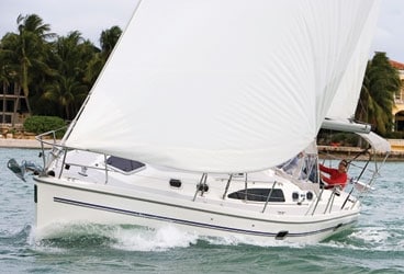 catalina 375