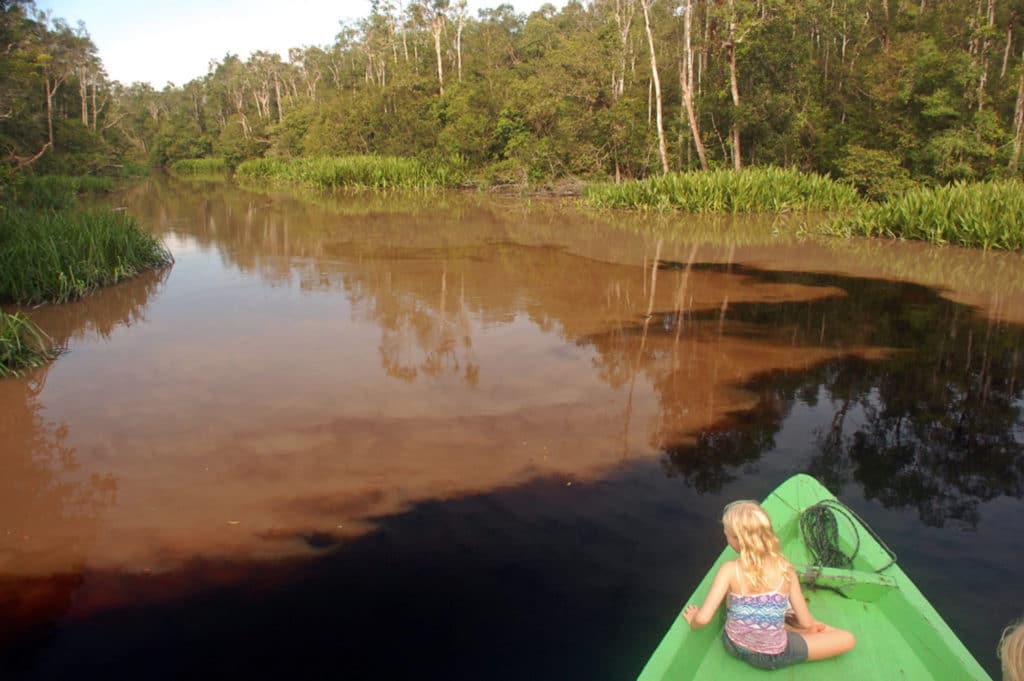 mercury-tainted water in Borneo