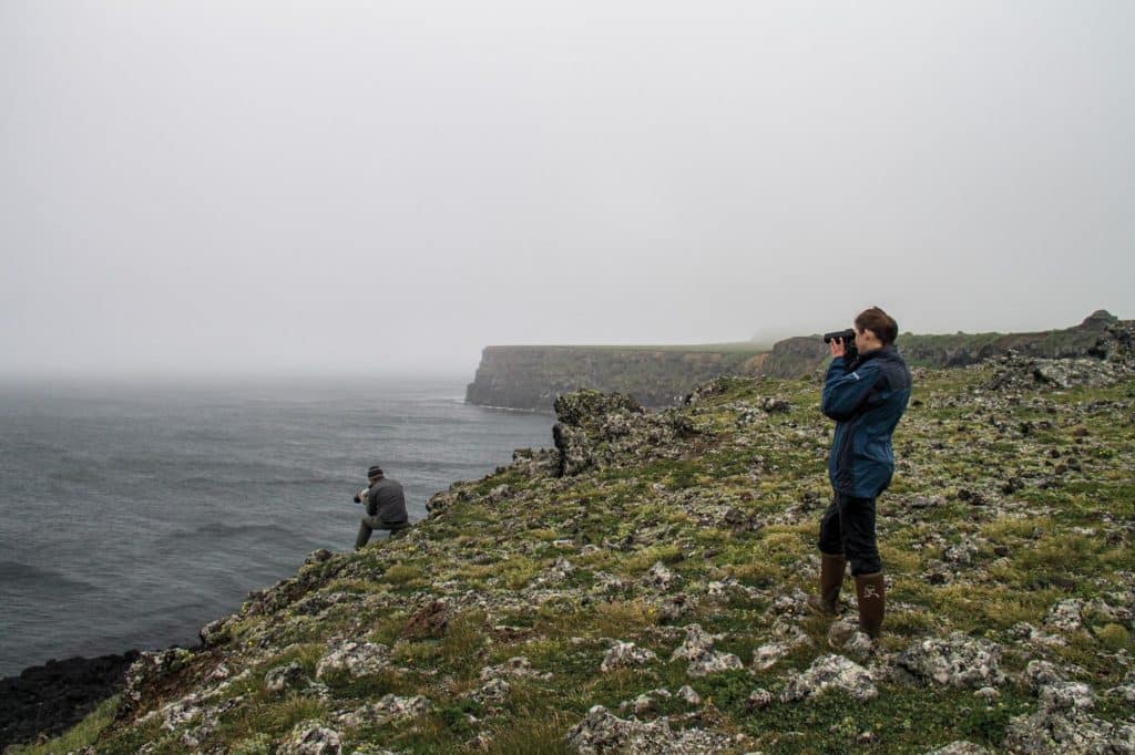 Seth and Alison, our bird guide, search the St. Paul coast.