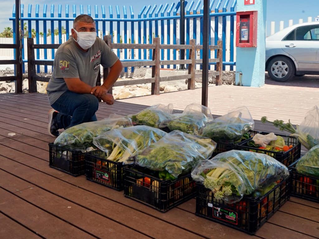 veggie bounty