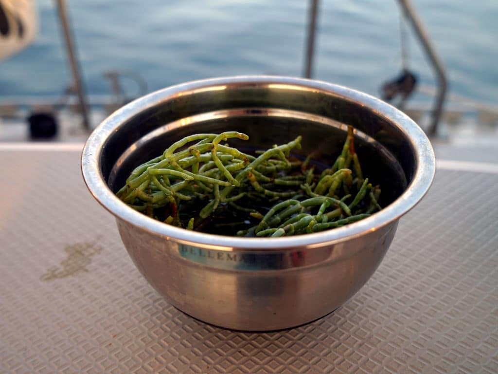 Fresh sea beans