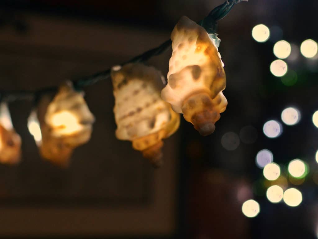 shell lights