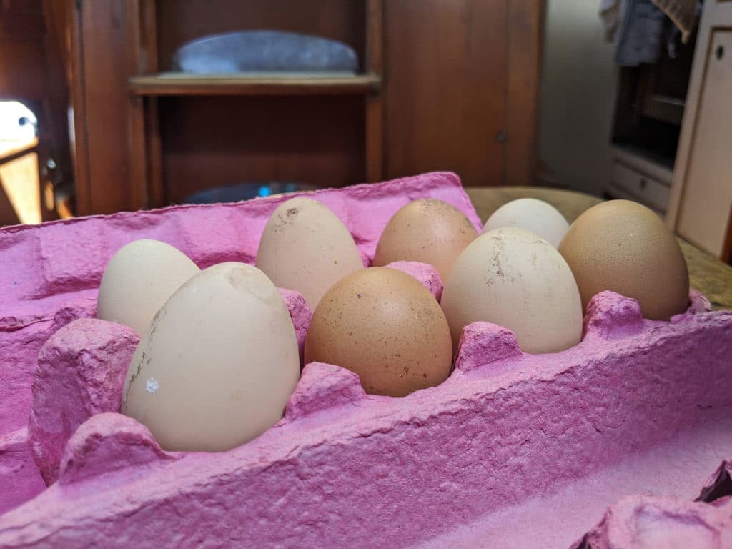 fresh rancho eggs