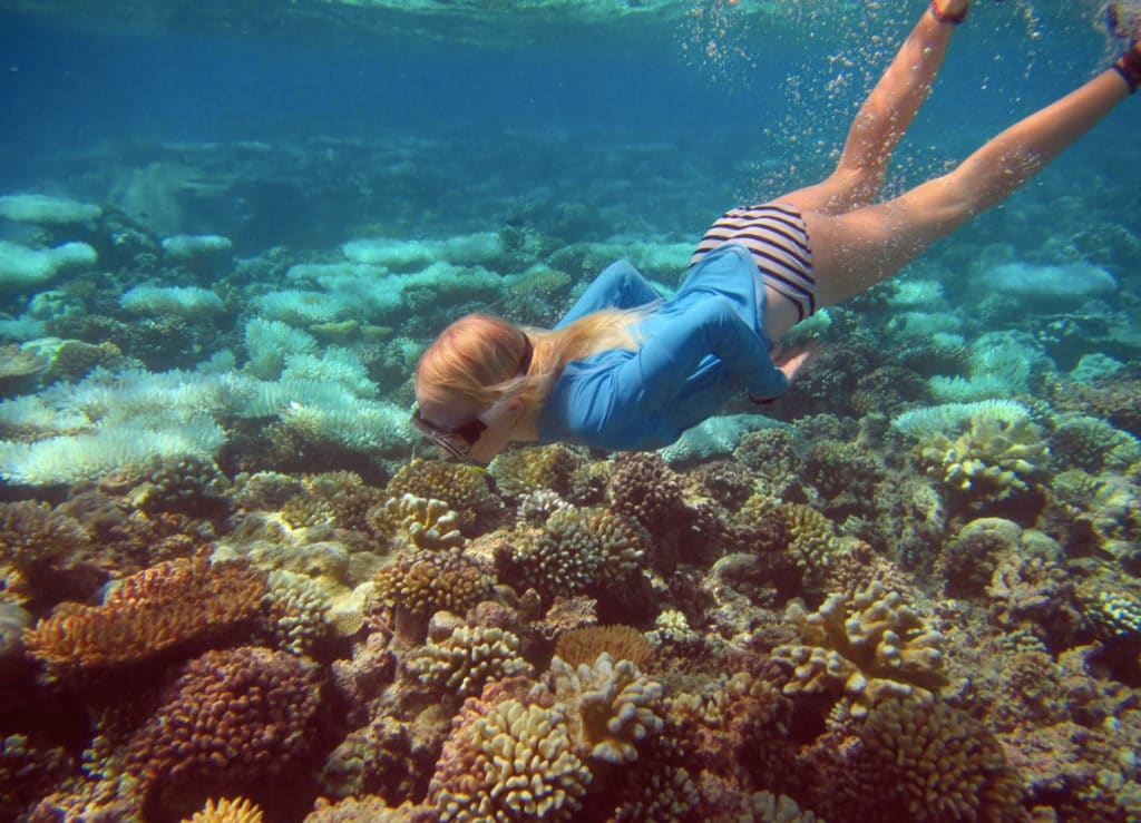 Swimming over a bleaching coral reef