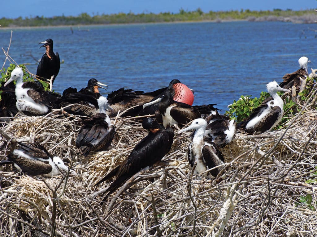 bird sanctuary