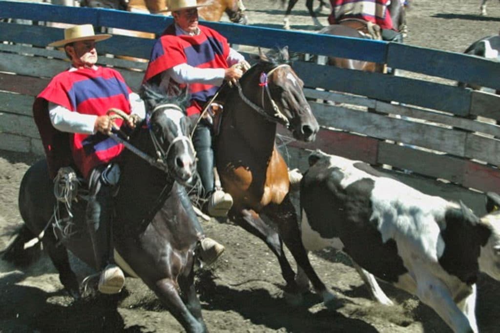 A Trip to Chile's Rodeo