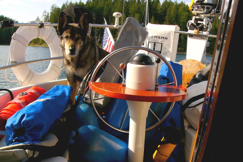 Dog on a Sailboat
