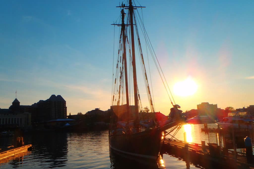 Tall Ships sunset