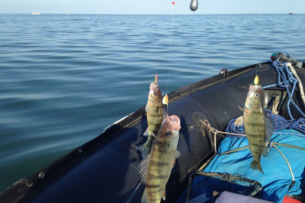 fishing in a dinghy