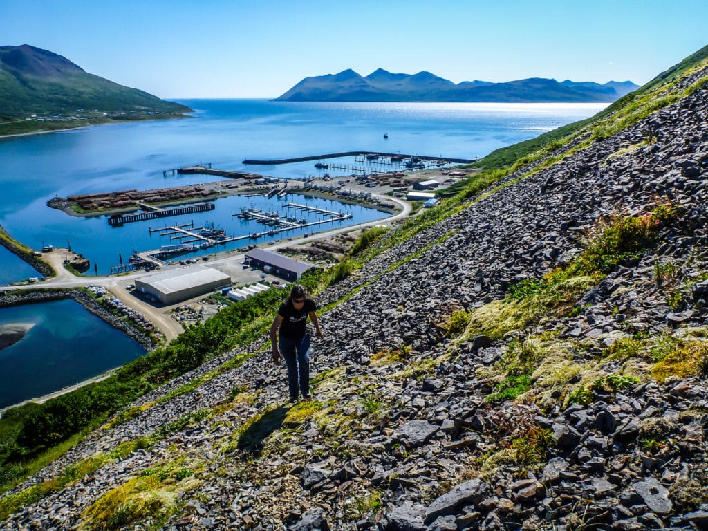 alaskan cruising