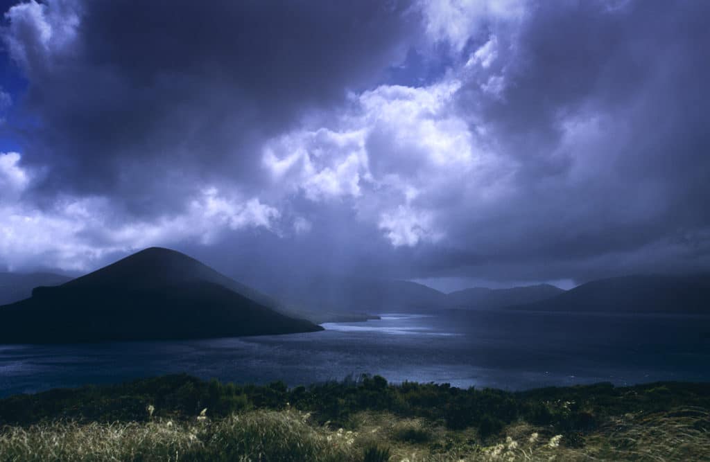 Auckland Islands