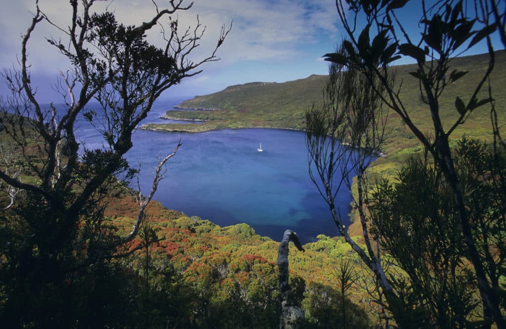 Auckland Islands