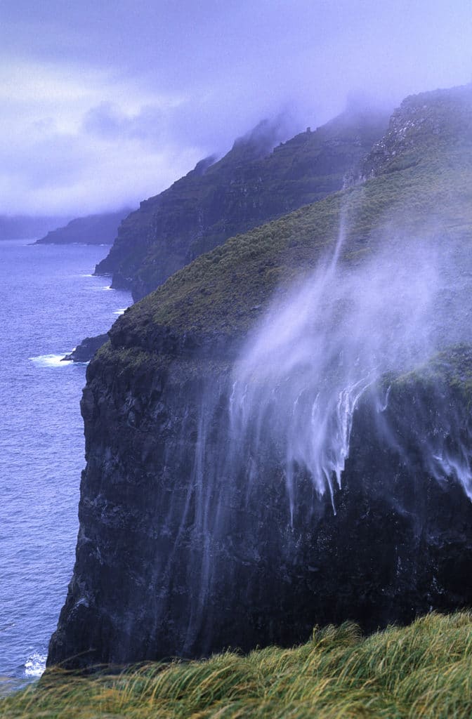 Auckland Islands