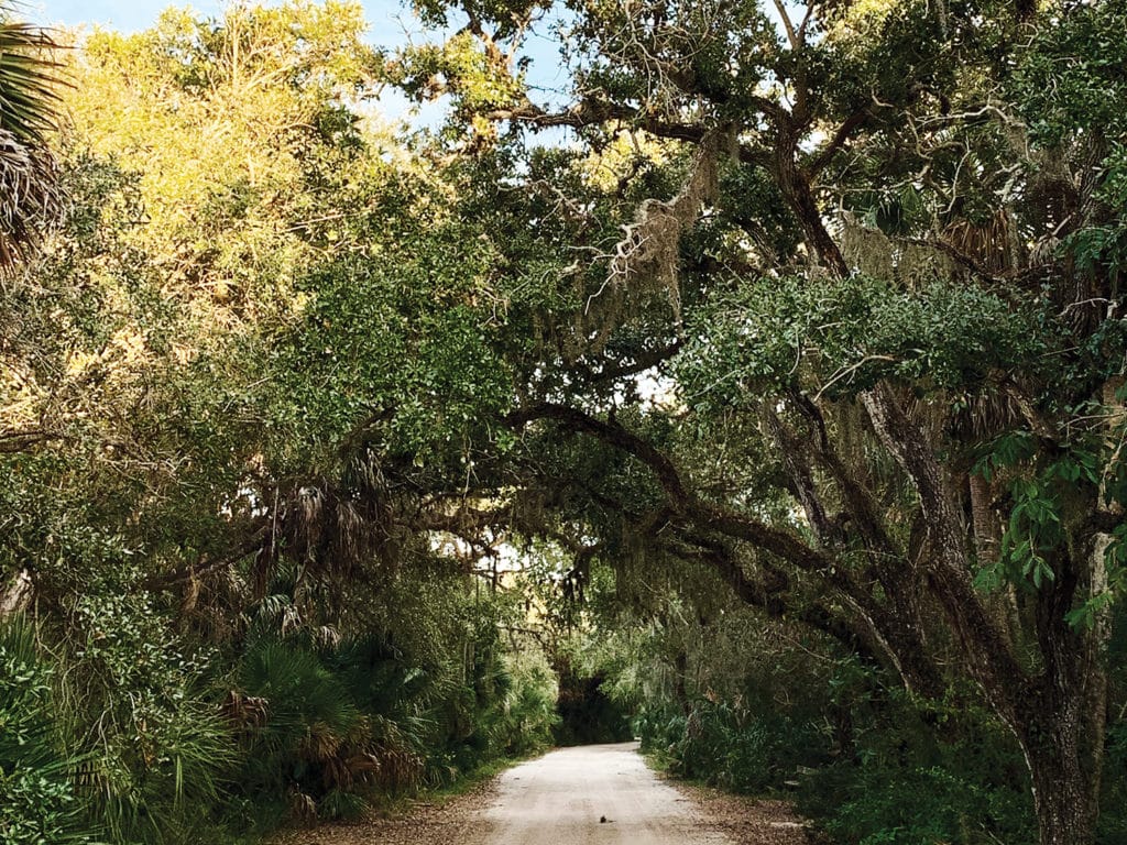 Cayo Costa State Park