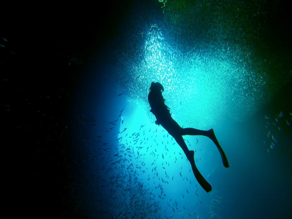 freediving