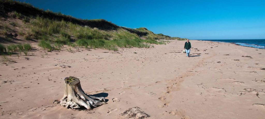 Prince Edward Island National Park