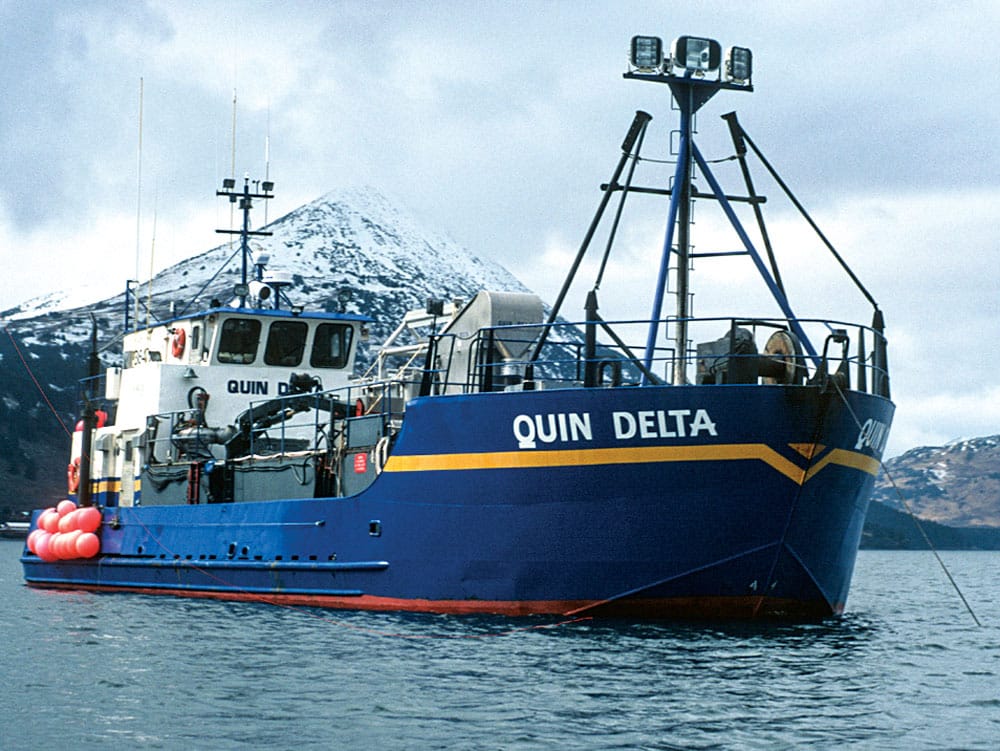 Quin Delta