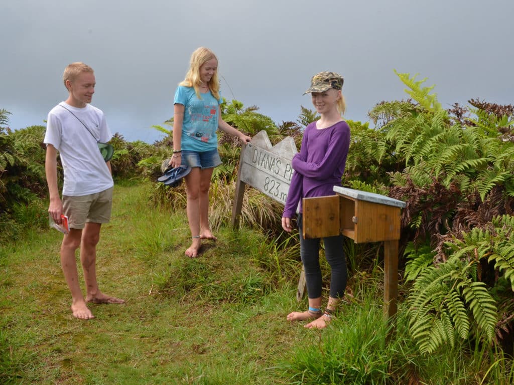 kids gathered around mountaintop mailbox