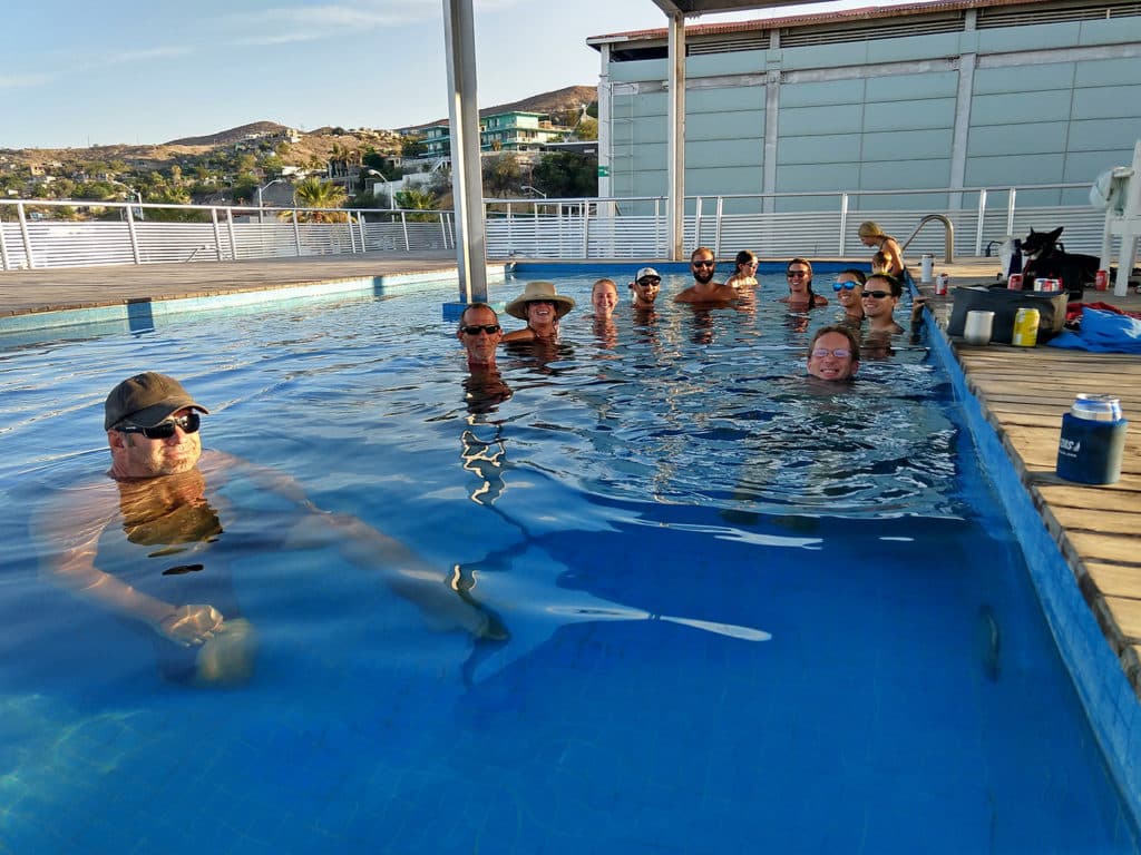 group of adults in a pool