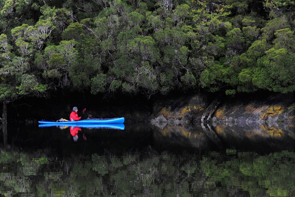 kayak.com cruises