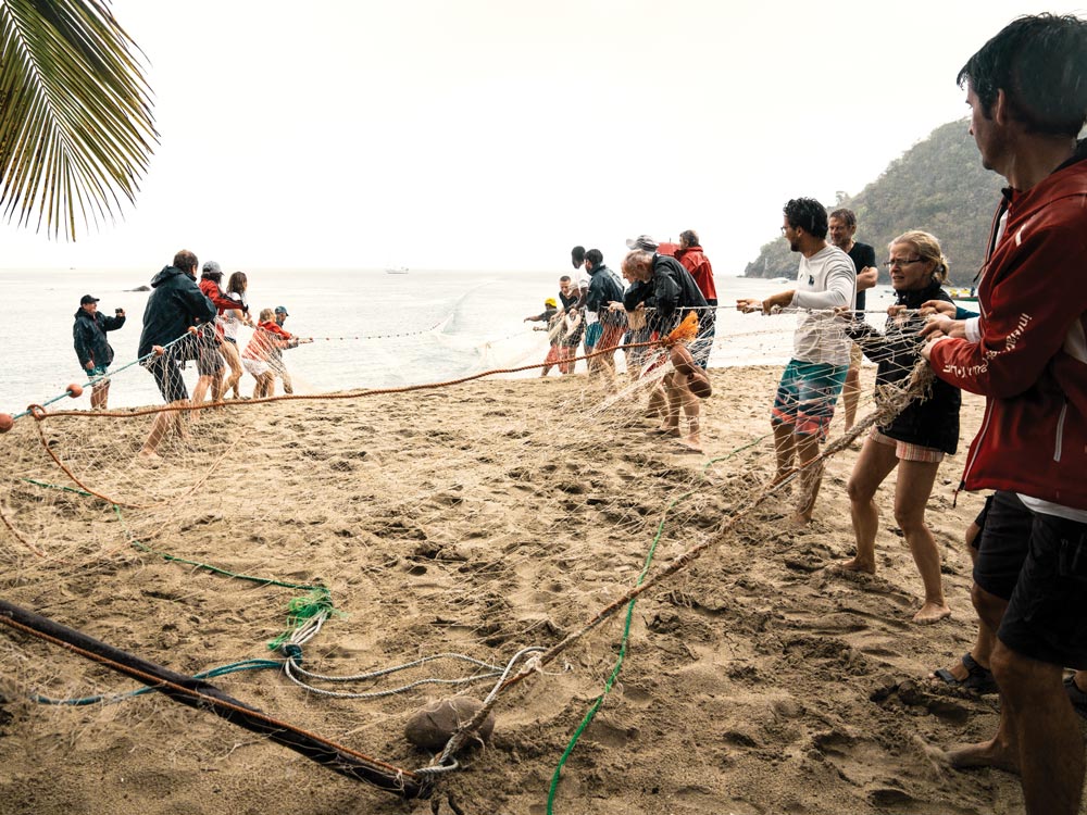 seine net