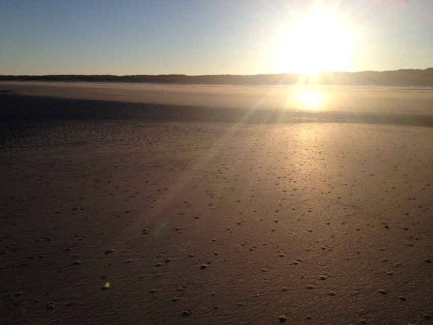 Cumberland Island beach