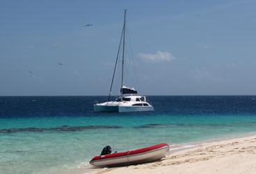 catamaran made in vietnam