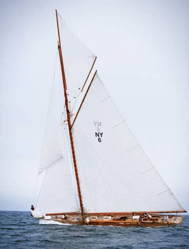 dorade yacht classic