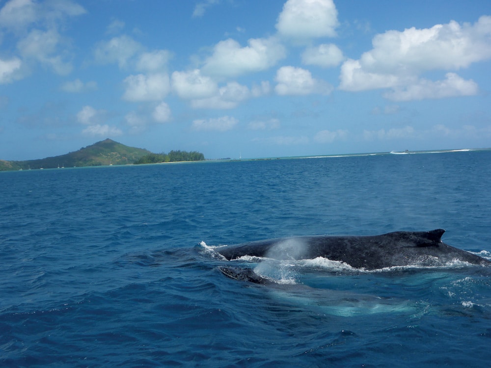 Nanami near Bora Bora