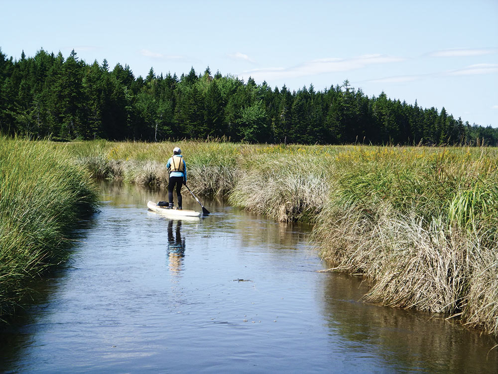 Englishman River