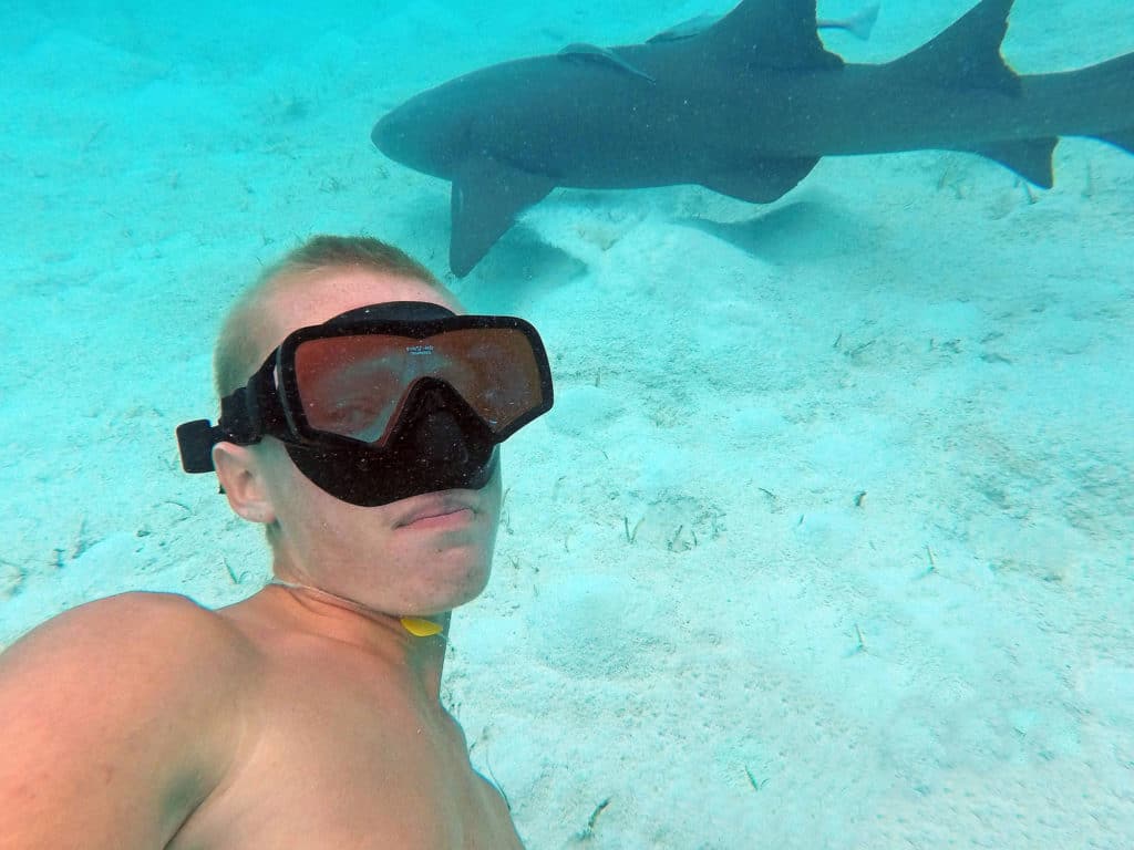 Swimming with shark