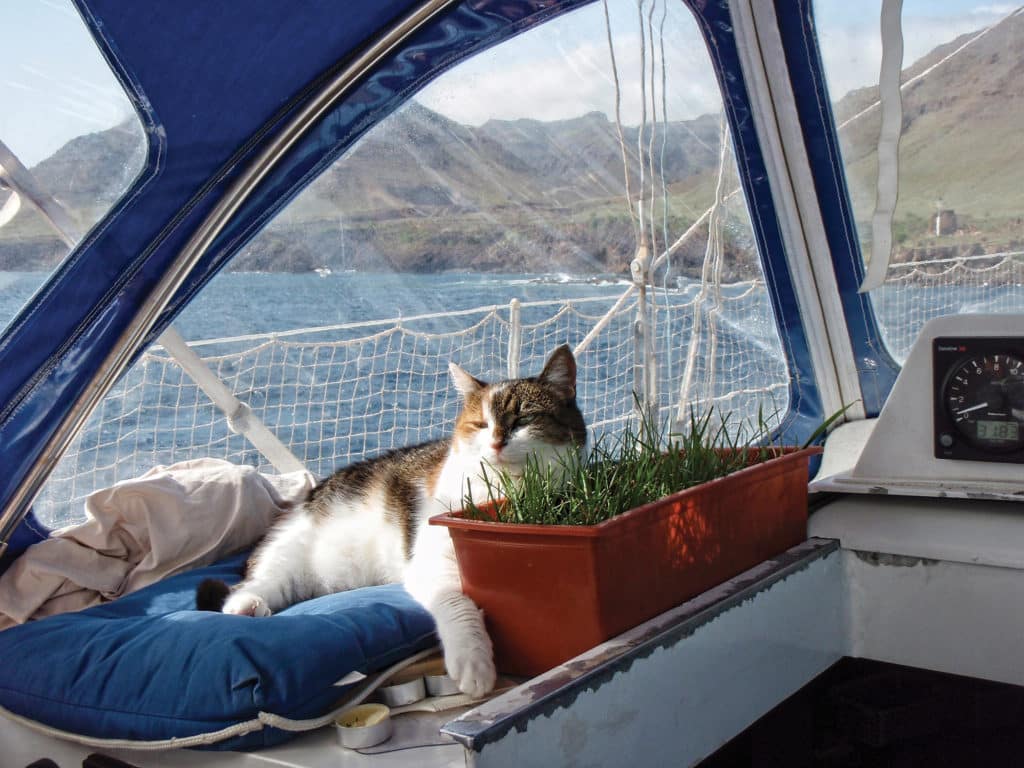 garden on board