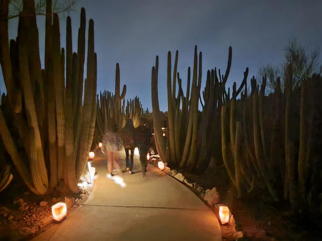 luminaria walk