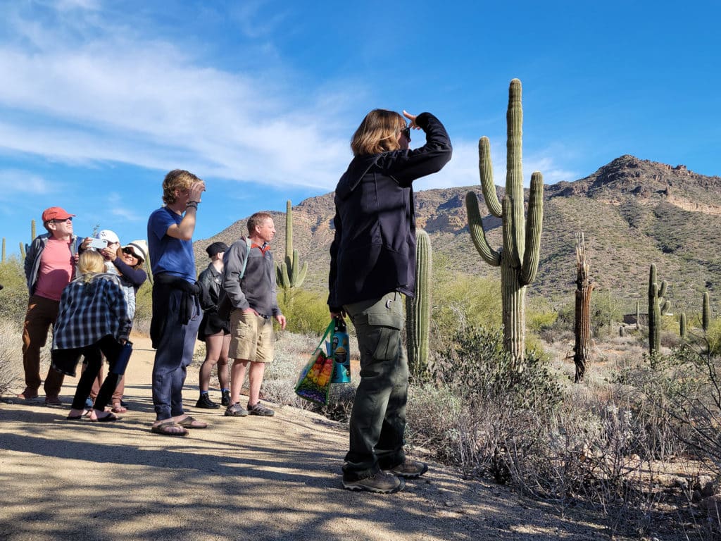 Sonoran Desert