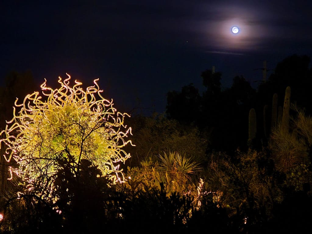 Chihuly exhibit