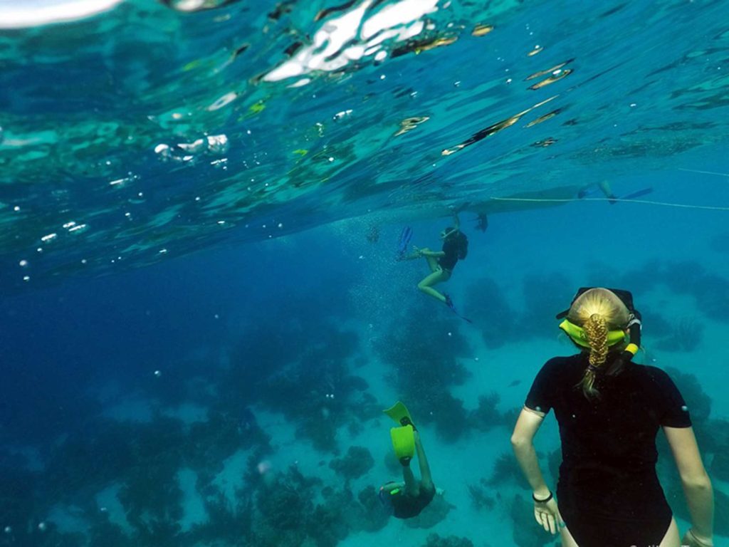 snorkeling