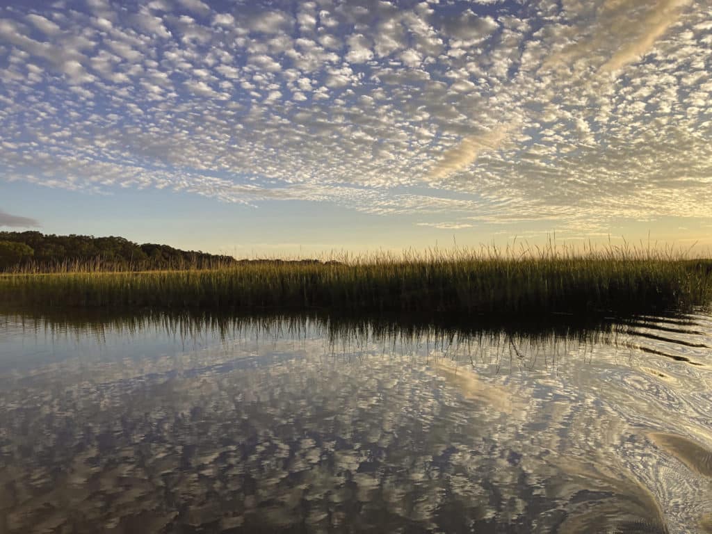 Ossabaw Island