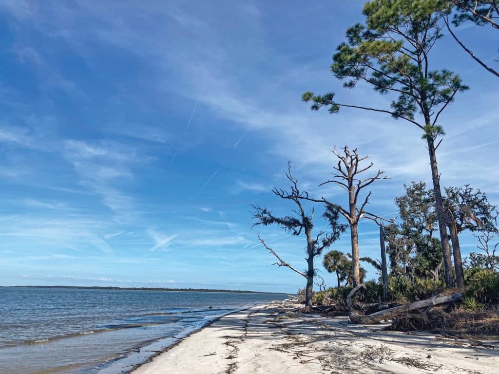 St. Catherine’s Island