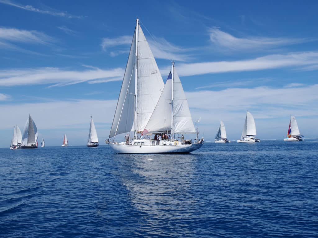 Musket Cove Regatta Sandbar Race