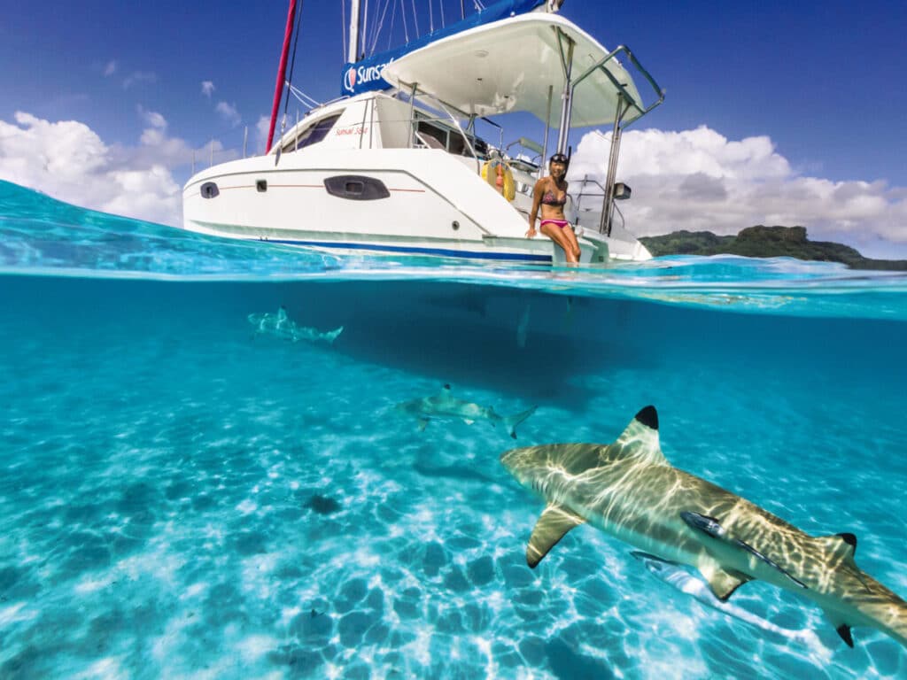 Woman on sailboat looking at black fin shark that is underwater