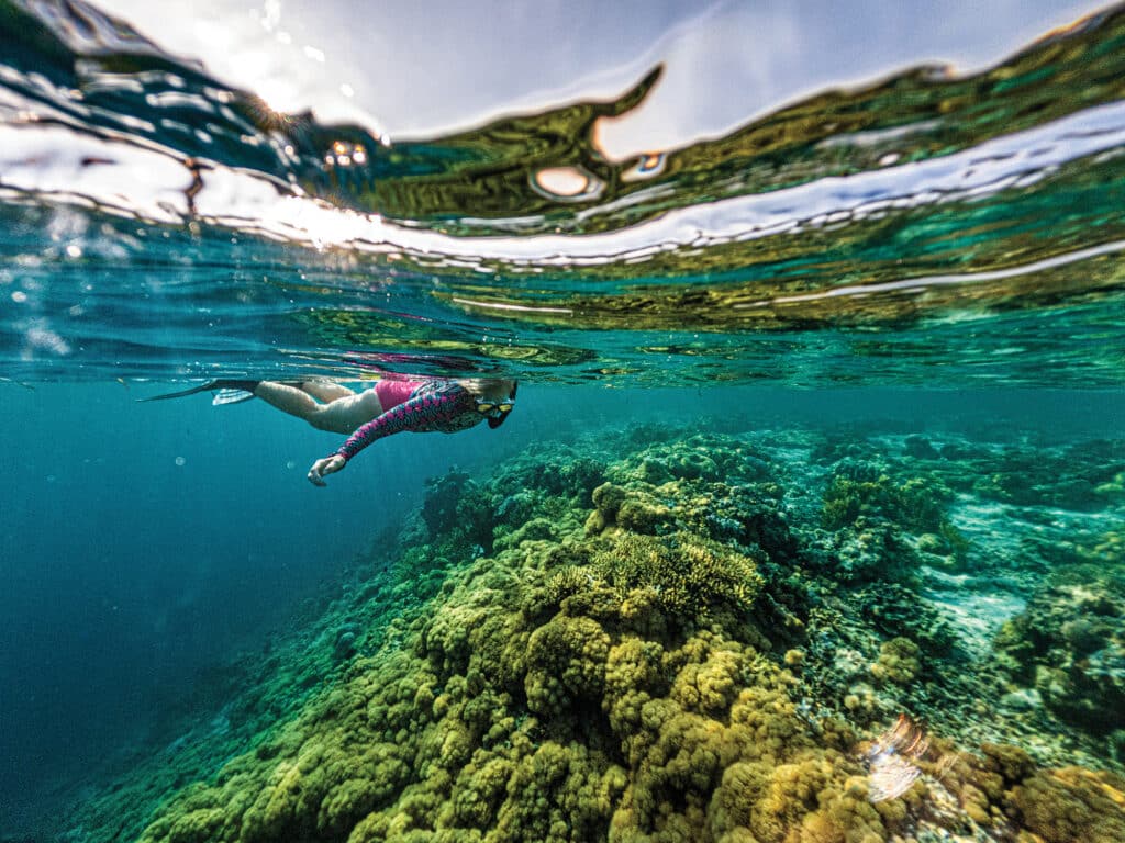 Snorkeling off of Indonesia