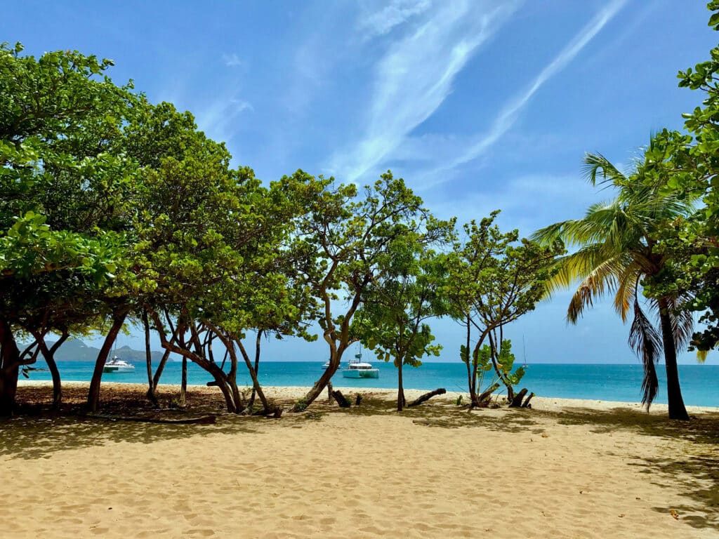 Tobago Cays beach