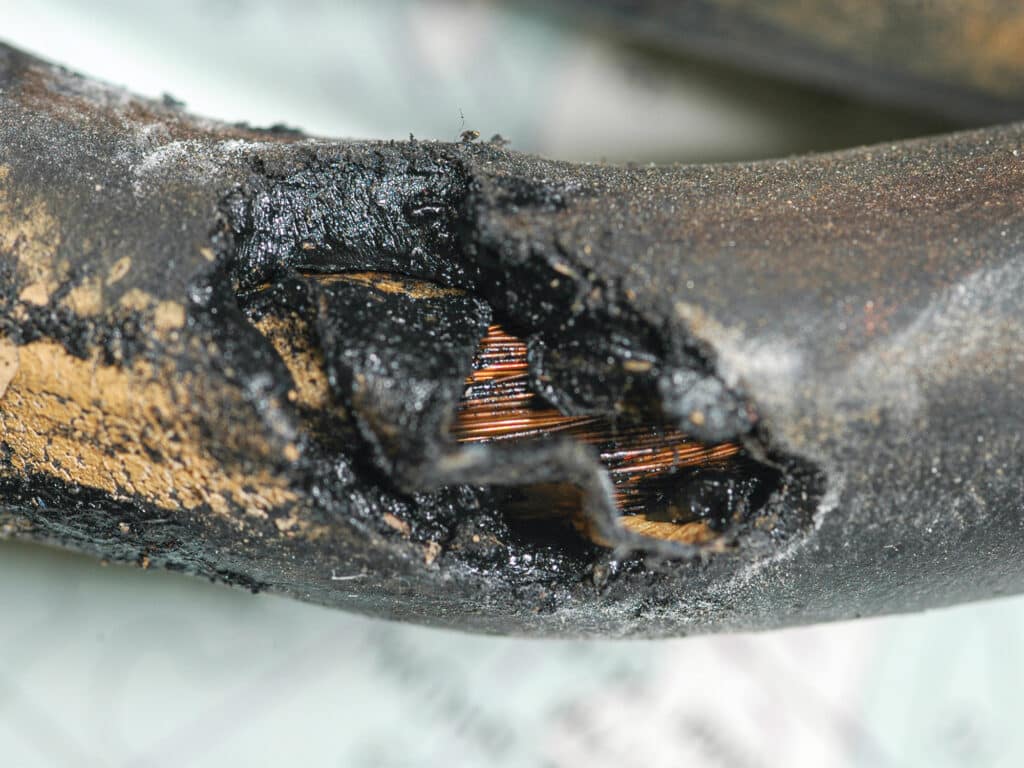 exposed wires inside a cable