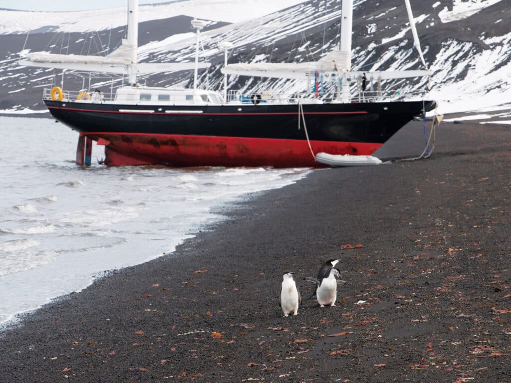 Sailboat aground with penguins walking in the foreground
