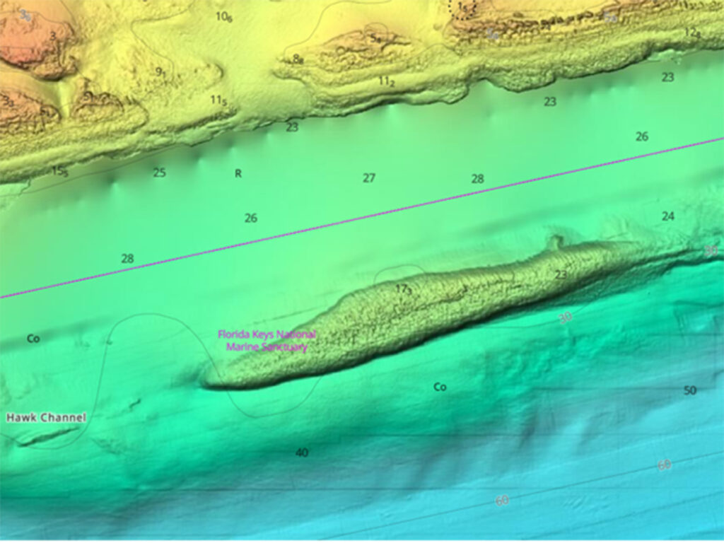 C-Map interface