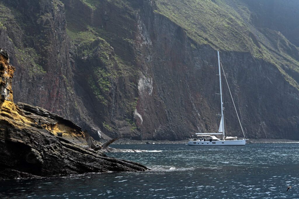 Mexican Wave at rest in the Galapagos Islands